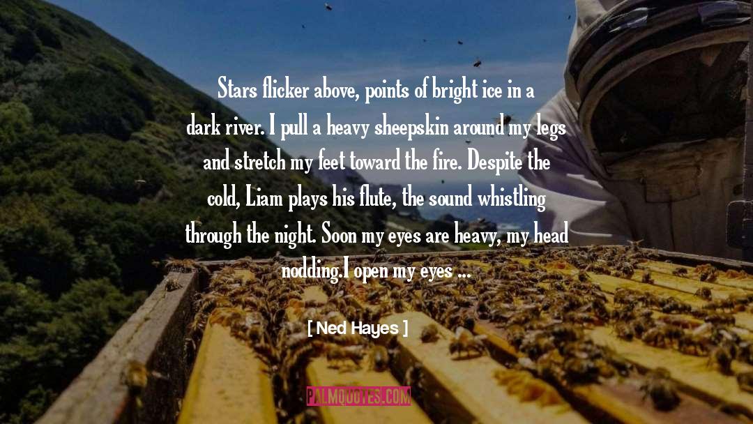 Imagined Light quotes by Ned Hayes