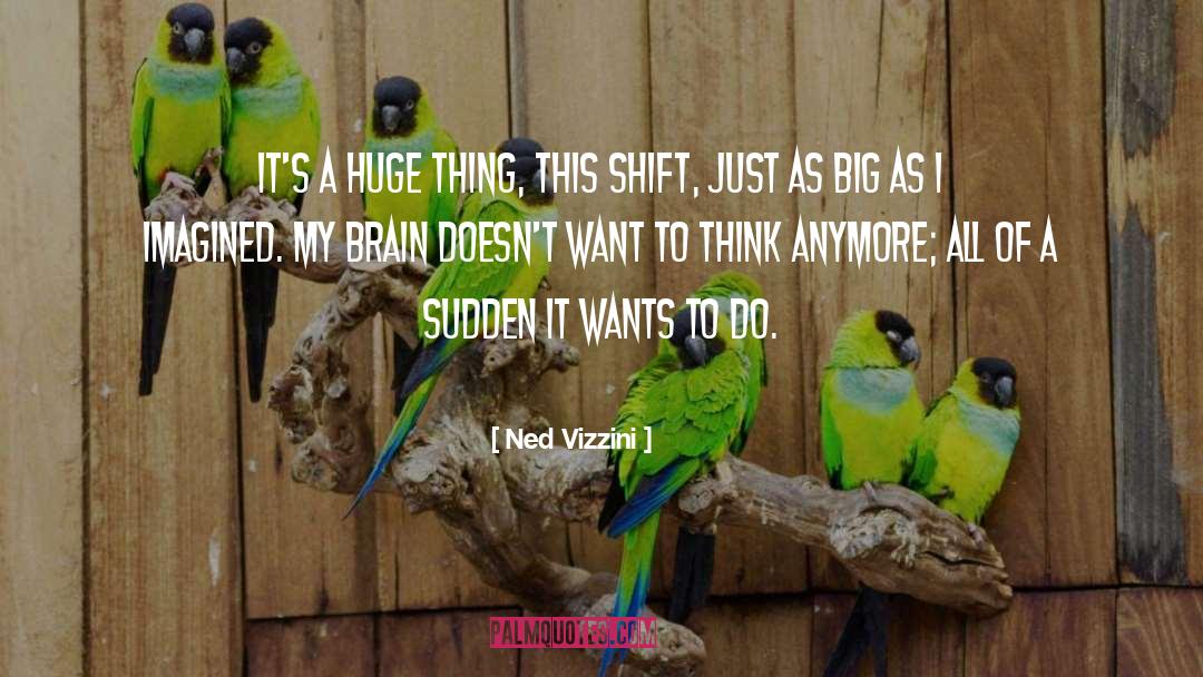Imagined quotes by Ned Vizzini