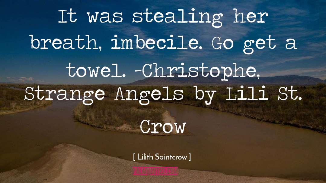 Imbecile quotes by Lilith Saintcrow