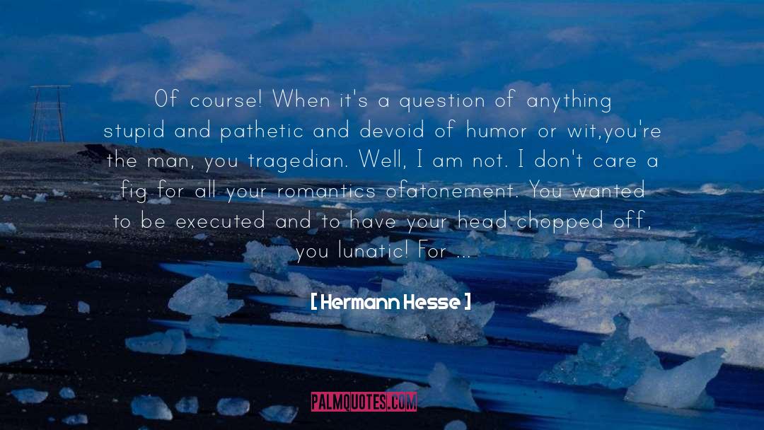 Imbecile quotes by Hermann Hesse