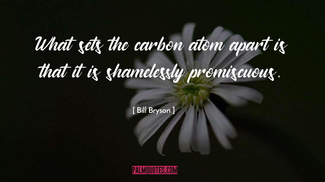 Imberger Carbon quotes by Bill Bryson