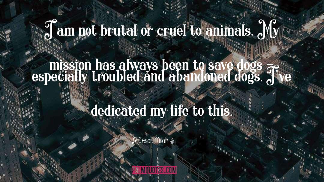 Imgur Animals Rap quotes by Cesar Millan