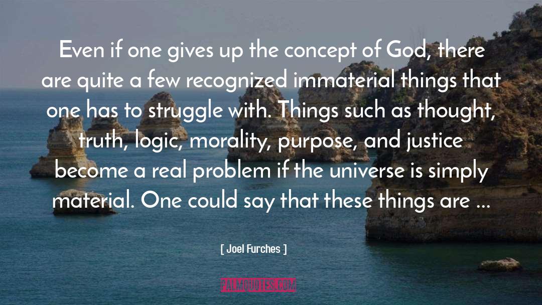 Immaterial quotes by Joel Furches