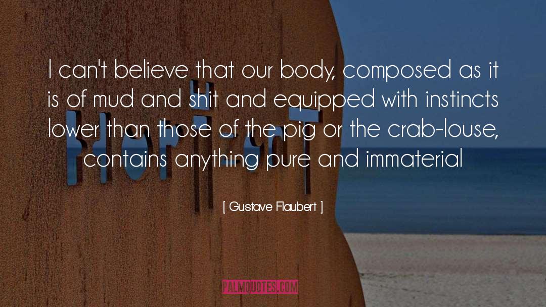 Immaterial quotes by Gustave Flaubert