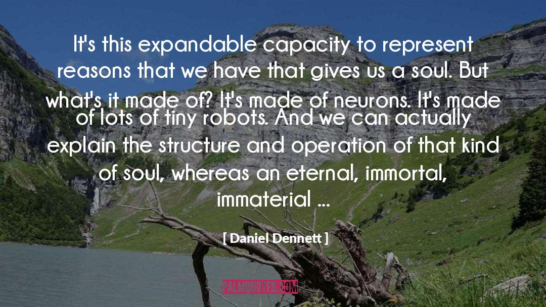 Immaterial quotes by Daniel Dennett
