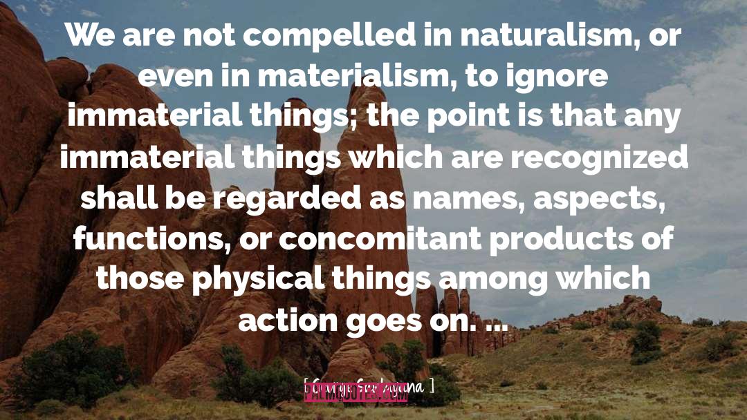 Immaterial Things quotes by George Santayana