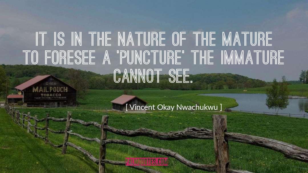 Immature People quotes by Vincent Okay Nwachukwu