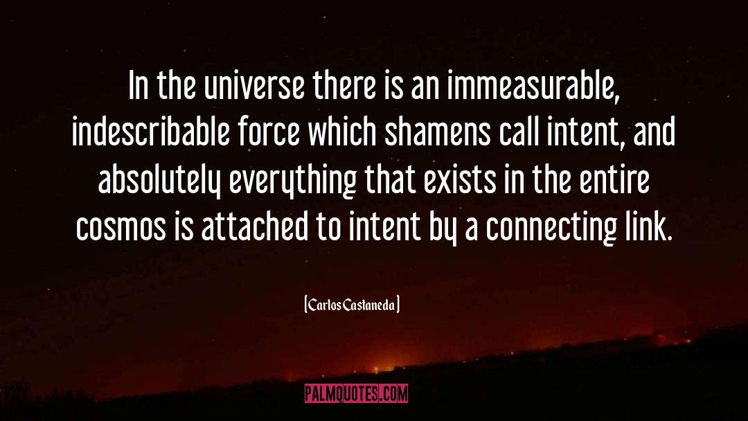 Immeasurable quotes by Carlos Castaneda