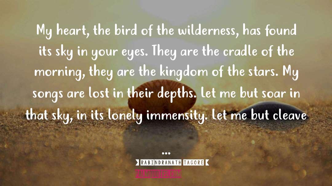 Immensity quotes by Rabindranath Tagore