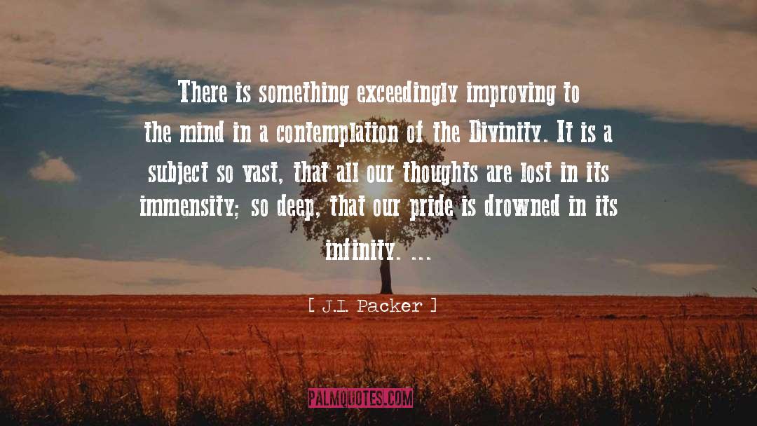 Immensity quotes by J.I. Packer
