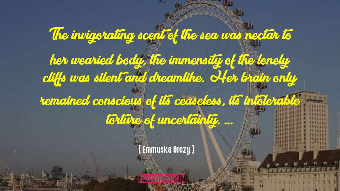 Immensity quotes by Emmuska Orczy