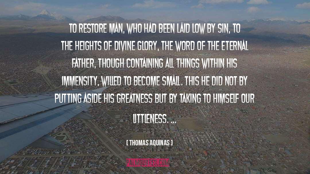 Immensity quotes by Thomas Aquinas
