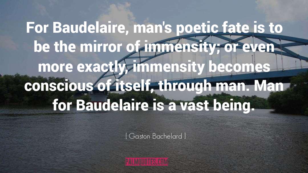 Immensity quotes by Gaston Bachelard