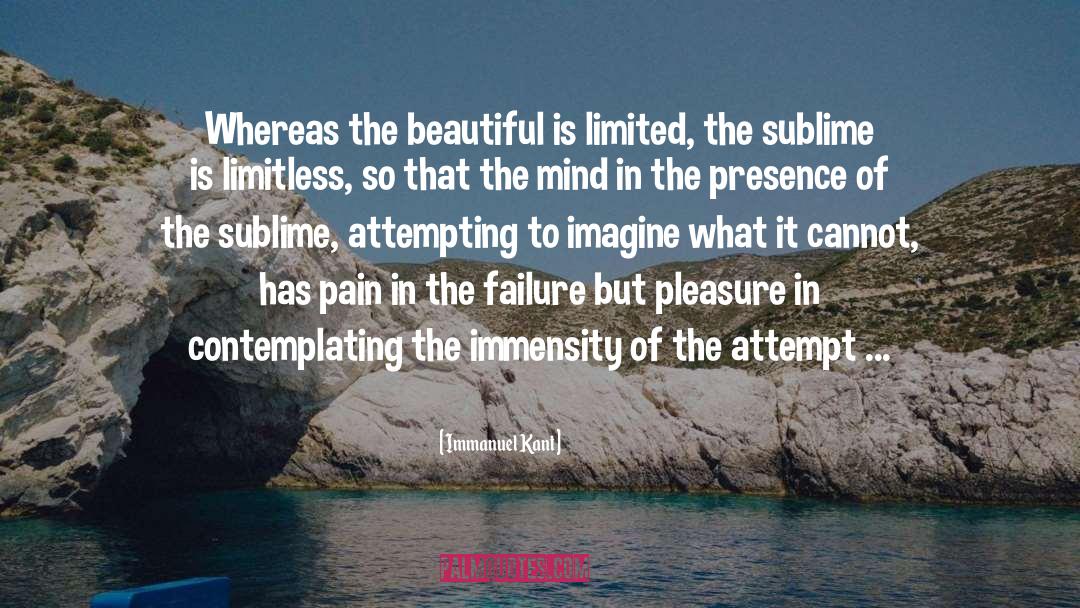 Immensity quotes by Immanuel Kant