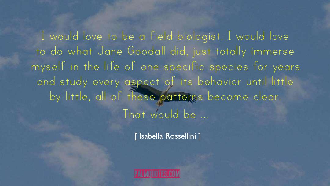 Immerse quotes by Isabella Rossellini