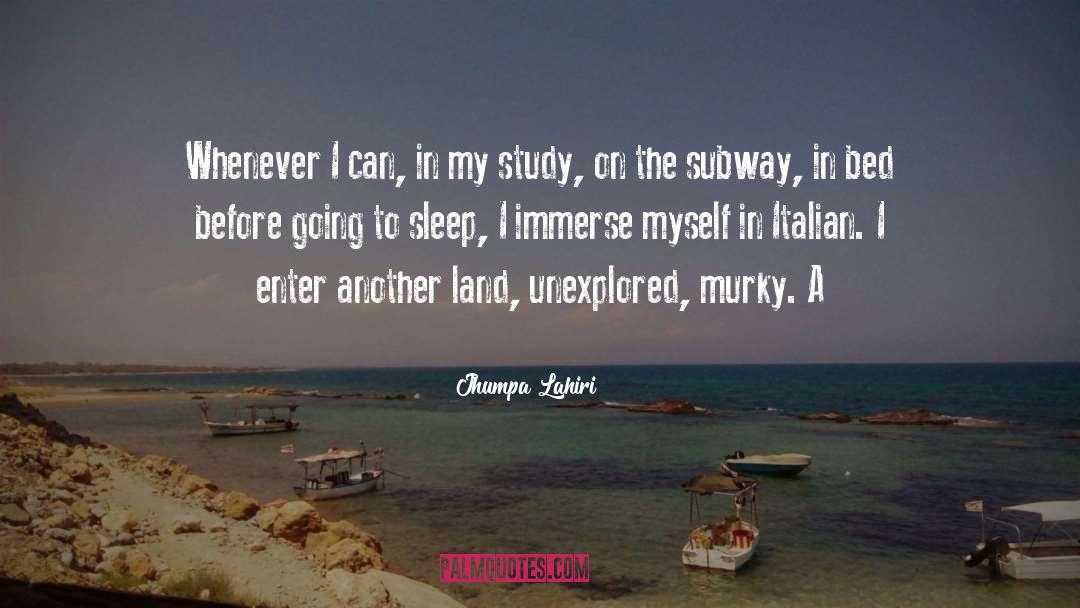 Immerse quotes by Jhumpa Lahiri