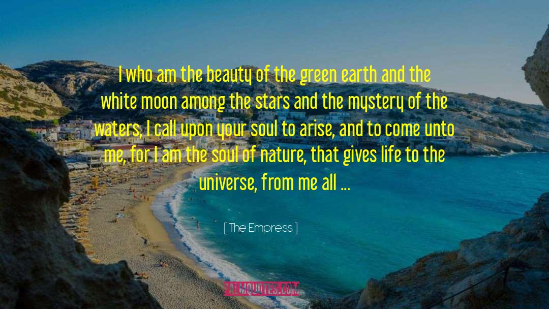 Immerse Yourself In Beauty quotes by The Empress