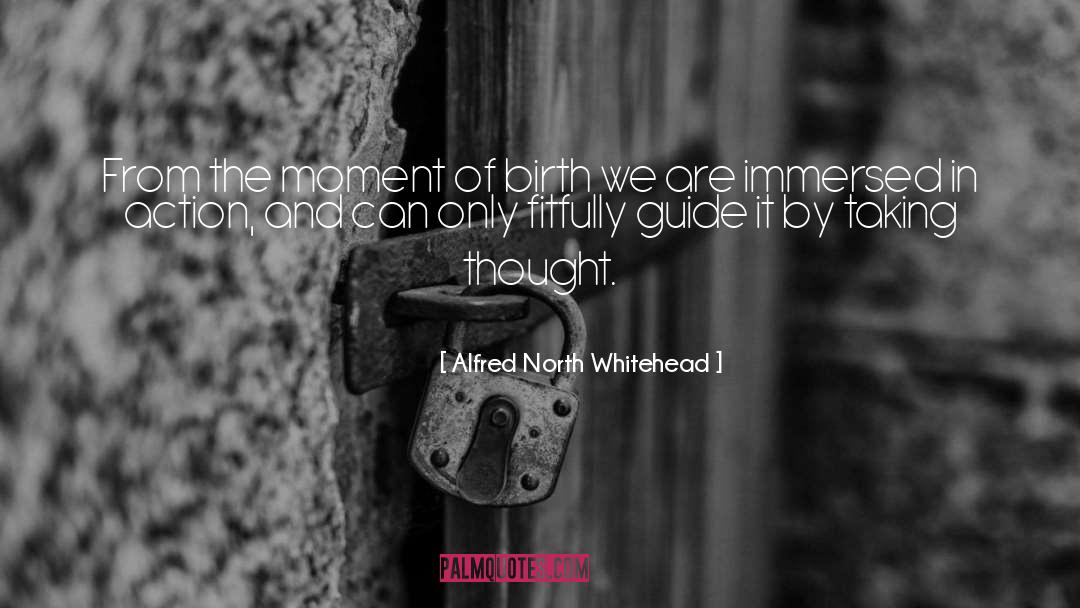 Immersed quotes by Alfred North Whitehead
