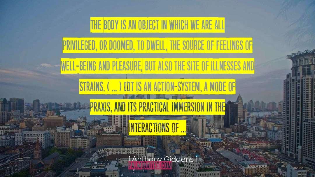 Immersion quotes by Anthony Giddens