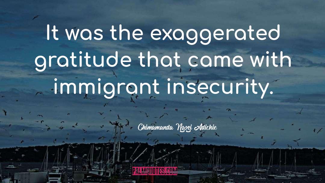 Immigrant quotes by Chimamanda Ngozi Adichie