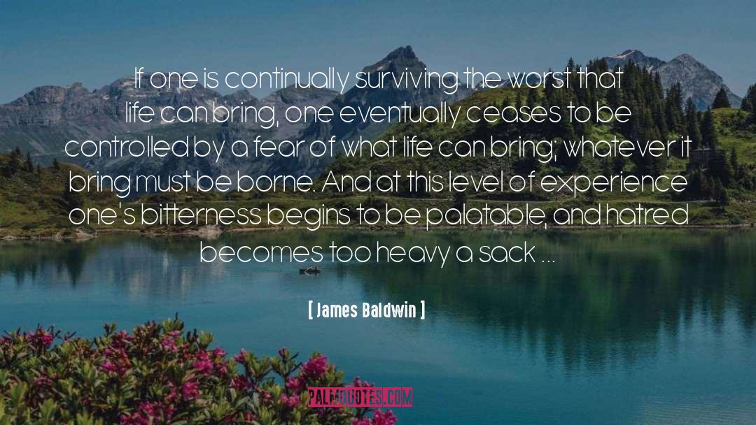 Immigration Experience quotes by James Baldwin