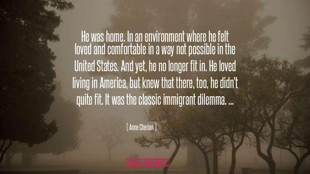 Immigration Immigrant Experience quotes by Anne Cherian