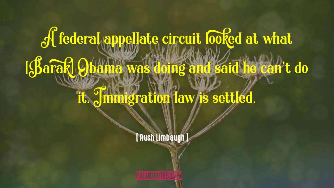Immigration Law quotes by Rush Limbaugh