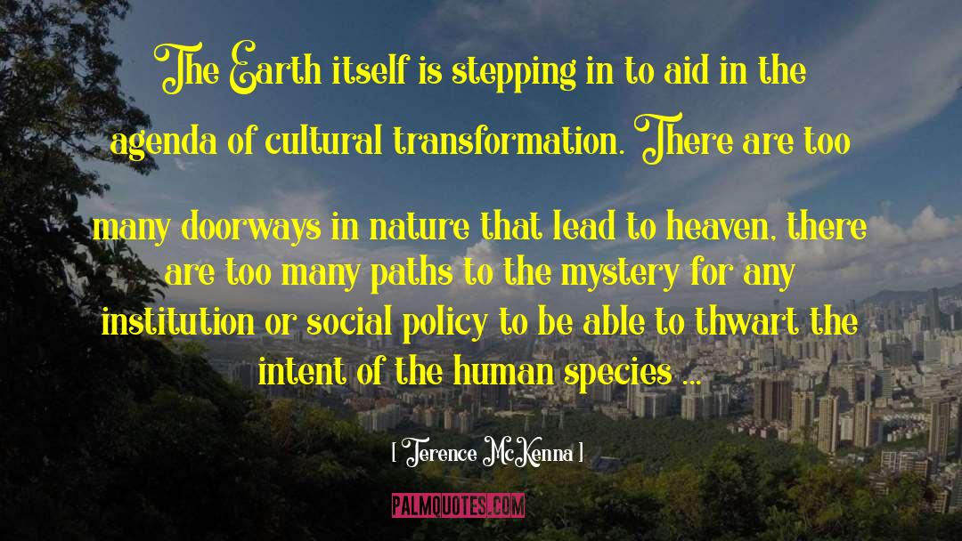 Immigration Policy quotes by Terence McKenna