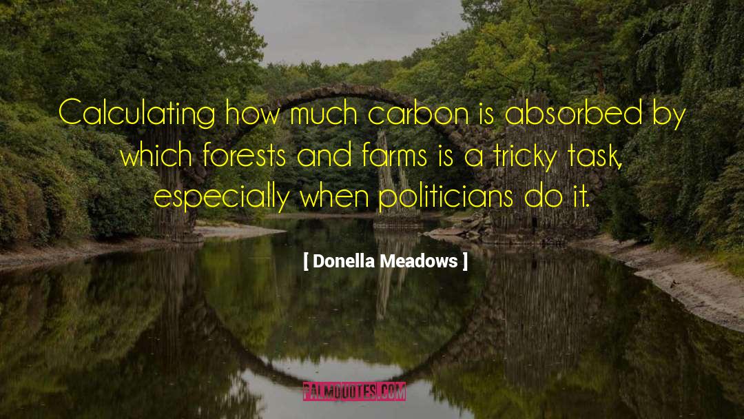 Immoral Politicians quotes by Donella Meadows