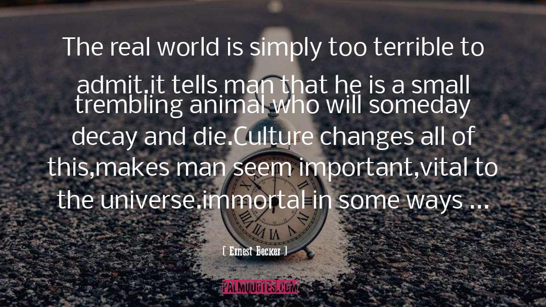 Immortal Graffiti quotes by Ernest Becker