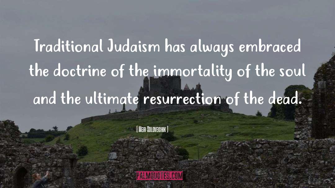 Immortality Of The Soul quotes by Meir Soloveichik