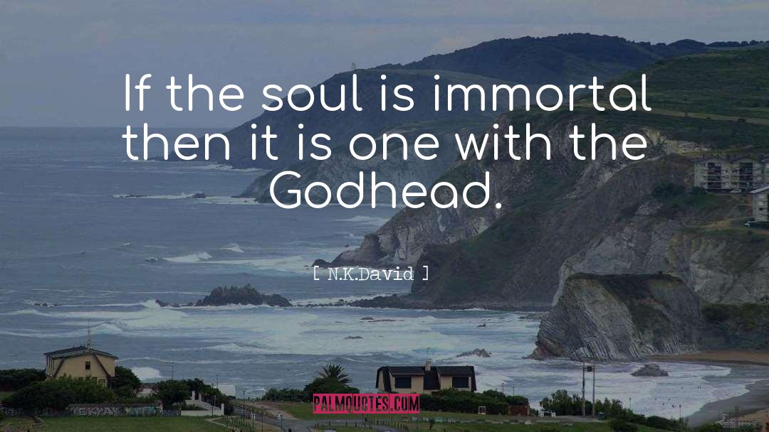 Immortality Of The Soul quotes by N.K.David