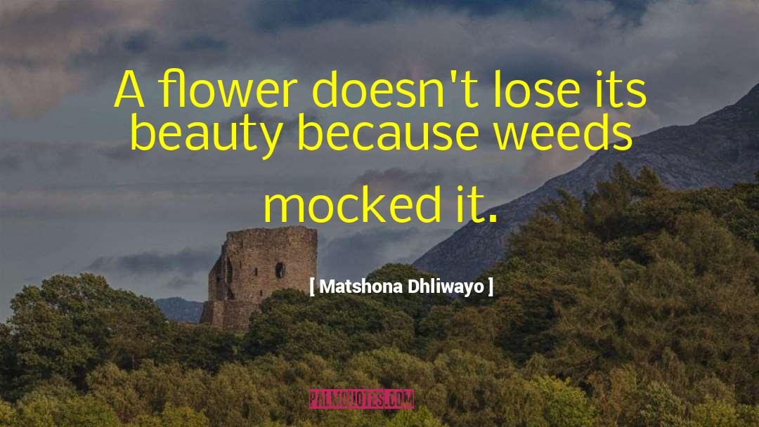 Immortelle Flower quotes by Matshona Dhliwayo