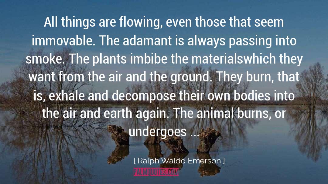 Immovable quotes by Ralph Waldo Emerson