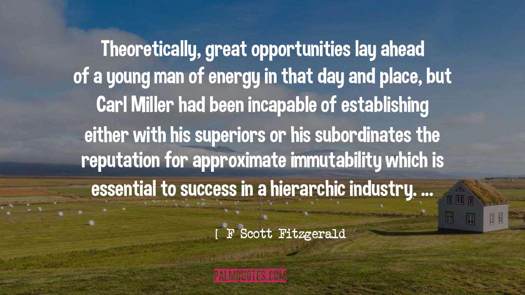 Immutability quotes by F Scott Fitzgerald