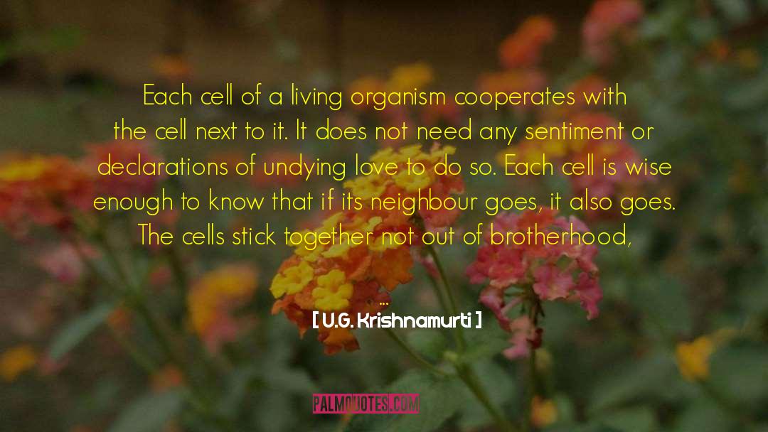 Impact Of Love quotes by U.G. Krishnamurti