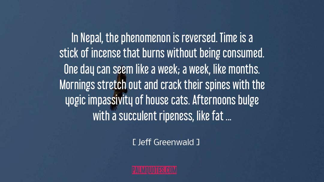 Impassivity quotes by Jeff Greenwald