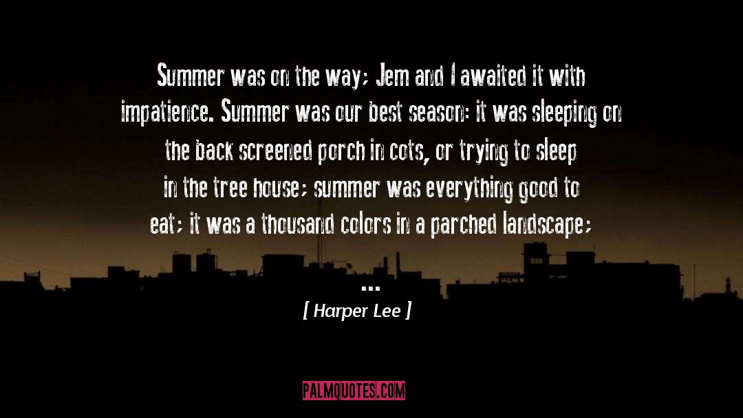 Impatience quotes by Harper Lee