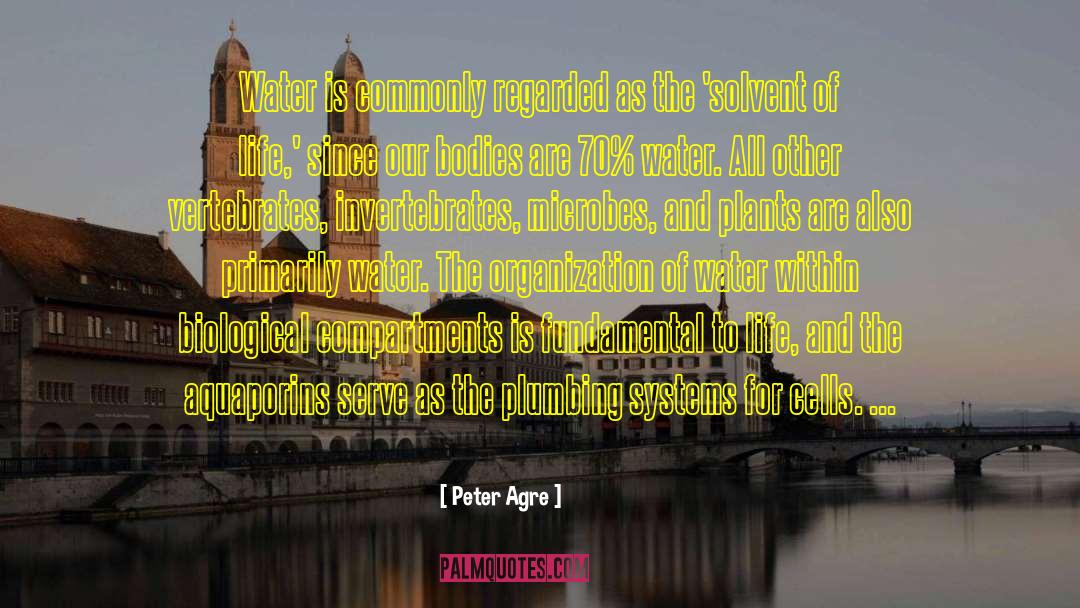 Imperative For Life Serve quotes by Peter Agre