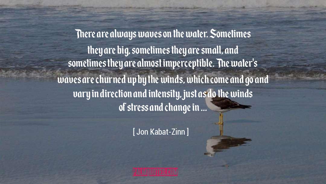 Imperceptible quotes by Jon Kabat-Zinn