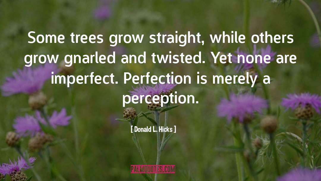 Imperfect quotes by Donald L. Hicks