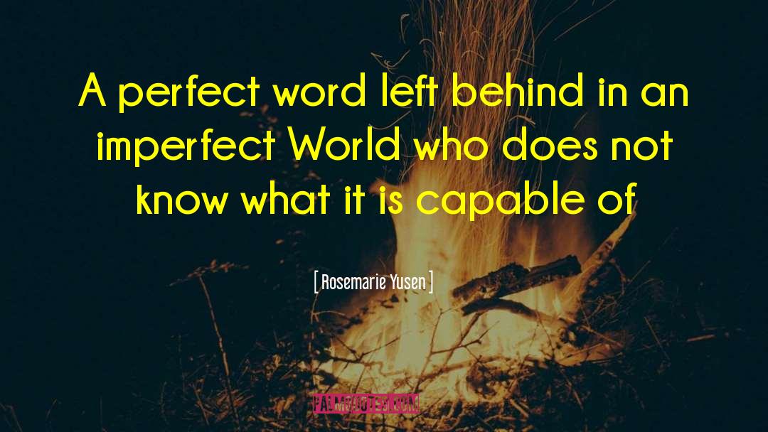 Imperfect World quotes by Rosemarie Yusen