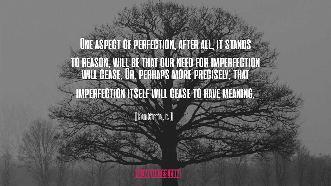 Imperfection Judgment quotes by Ron Currie Jr.