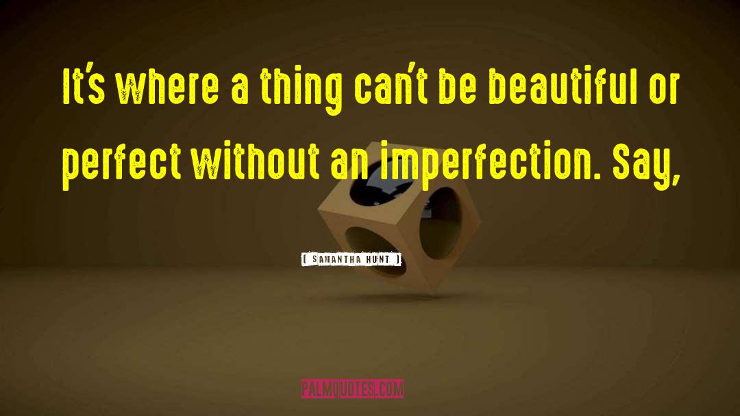 Imperfection quotes by Samantha Hunt