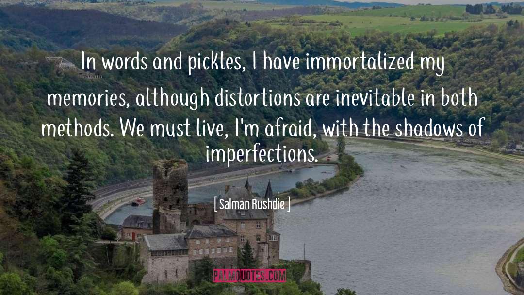 Imperfections quotes by Salman Rushdie