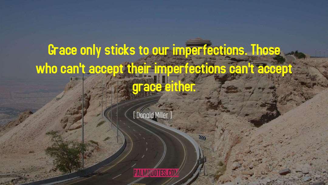 Imperfections quotes by Donald Miller