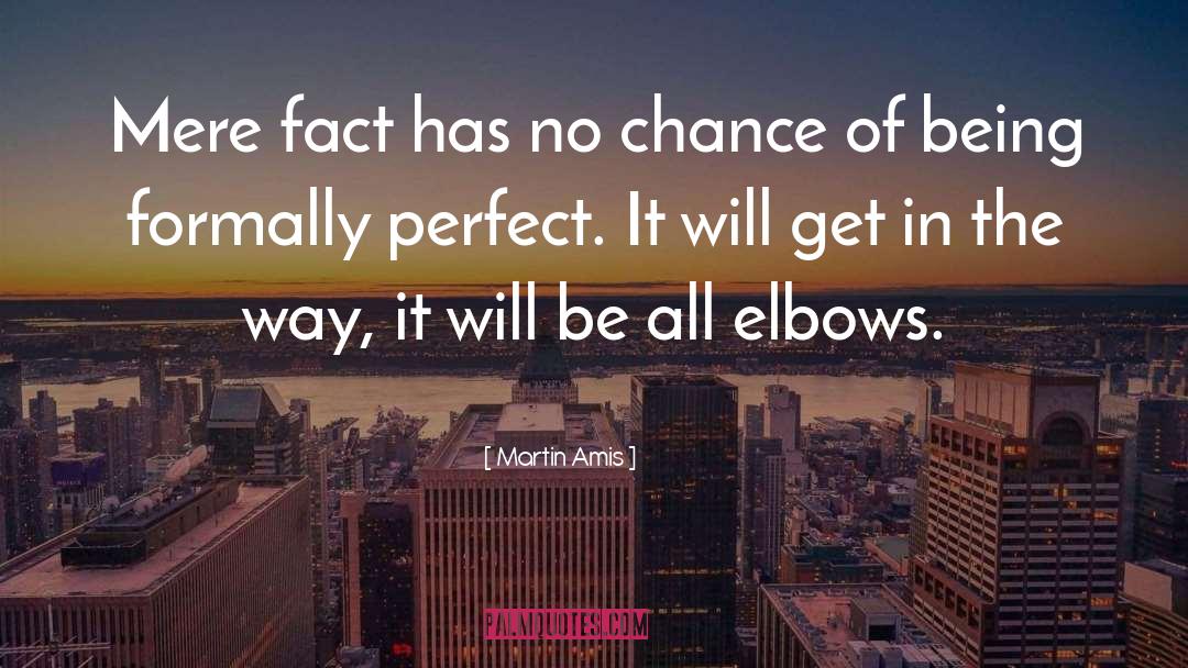 Imperfectly Perfect quotes by Martin Amis