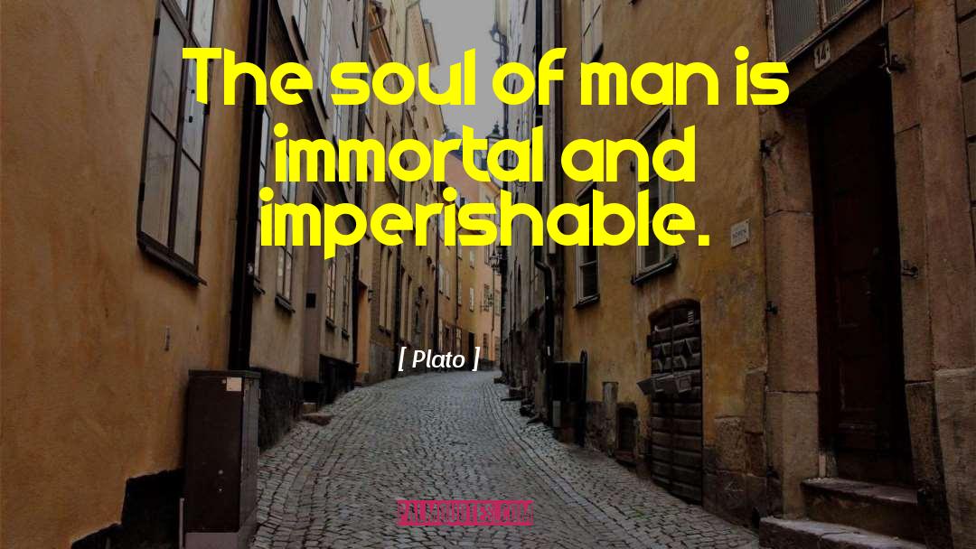 Imperishable quotes by Plato