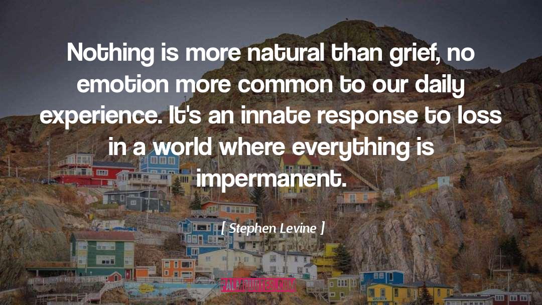 Impermanent quotes by Stephen Levine