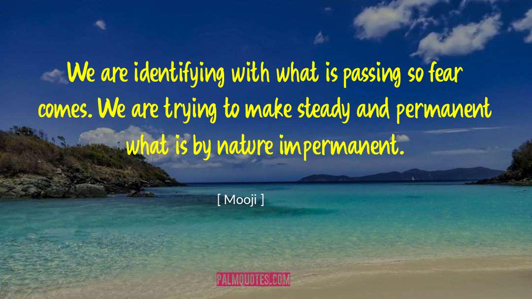 Impermanent quotes by Mooji